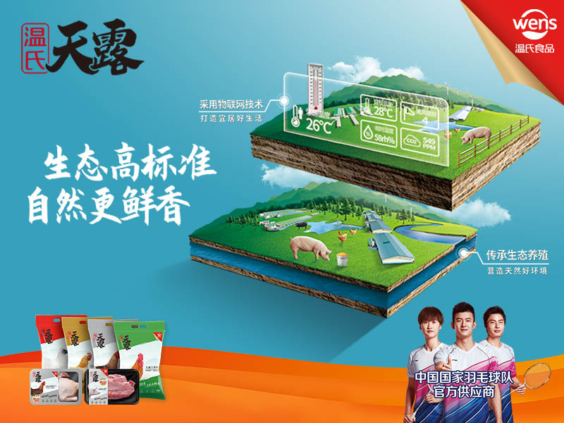 ��¶KV 800x600.jpg